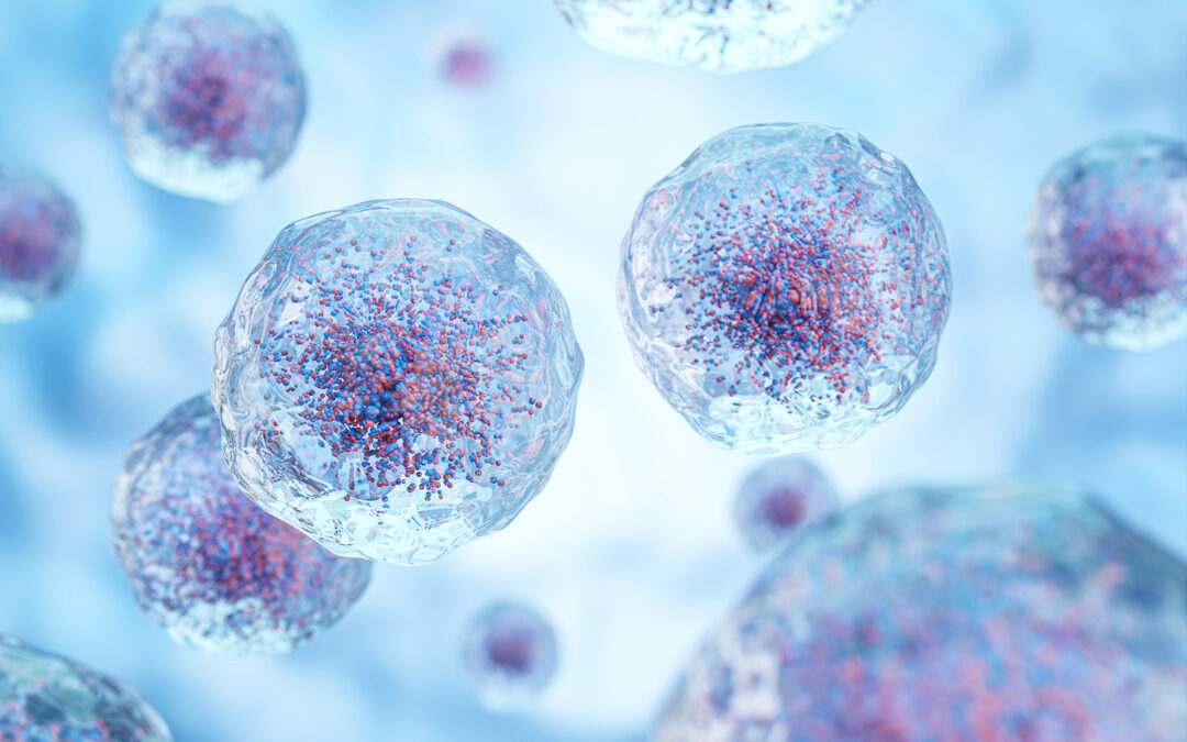 Ein Beitrag über die Zellgesundheit